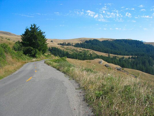 Mattole Road 