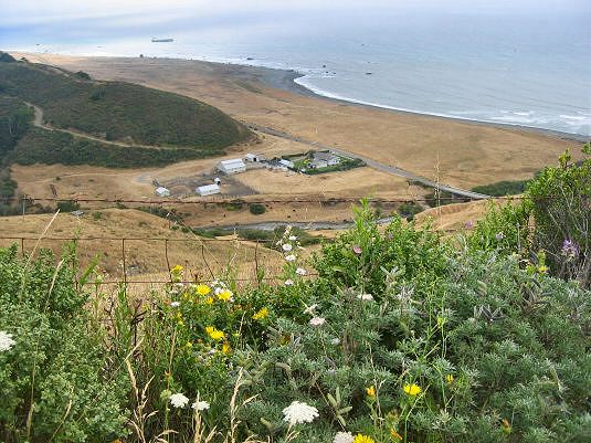 A View of the Ocean From Mattole Road