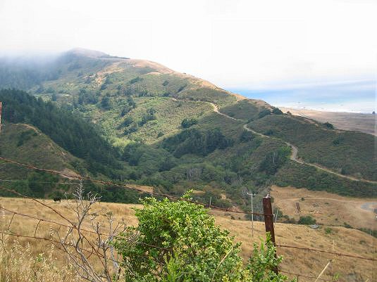 A View of the Ocean From Mattole Road