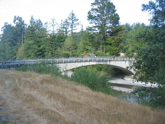 Bridge Over The Mattole River