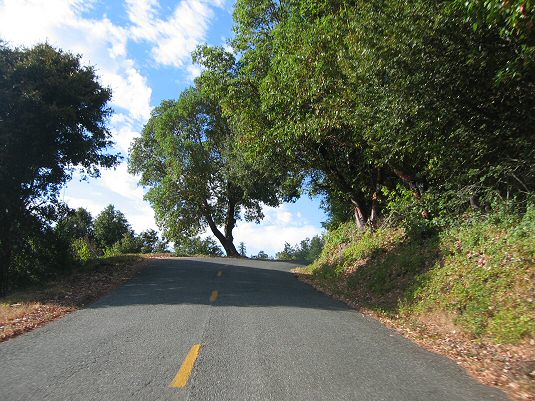Mattole Road