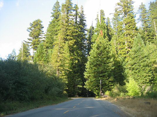 Entering Humboldt State Redwood Park
