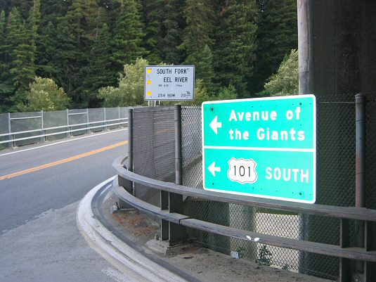 Avenue Of The Giants