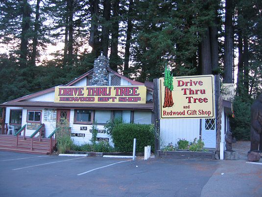 Drive Thru Tree Store