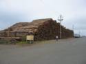 Redwood Logs