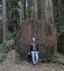 Me In Front of Giant Fallen Redwood