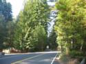 California Hwy. 1