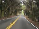 California Hwy. 1