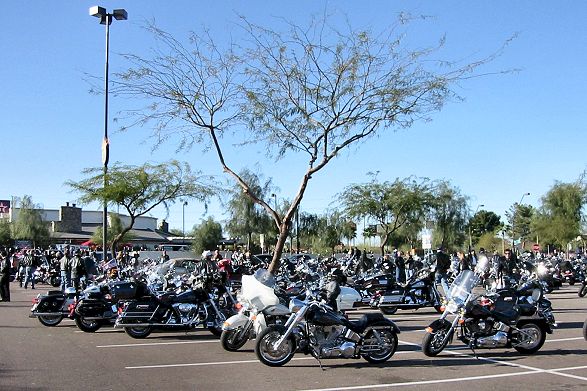 Bikes In Parking Lot
