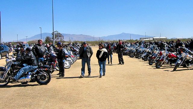 All The Bikes