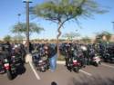 Bikes in Parking Lot