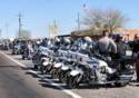 Our Escorts On The Ride