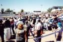 The Crowd