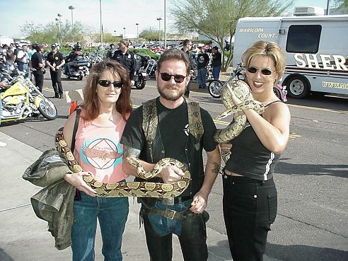 Goodness Snakes Alive-Do They Have A Sidecar?