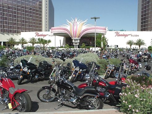 Front Of The Flamingo