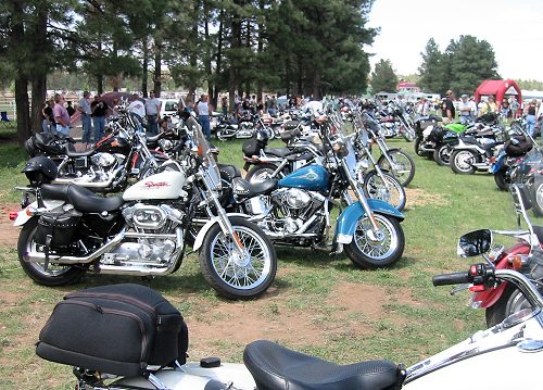 Some Of The Many Bikes That Made The Trip
