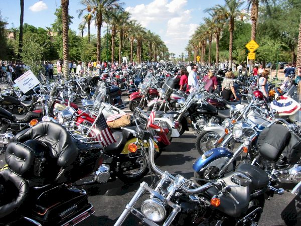 Parking The Massive Amount Of Bikes