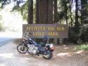 Big Sur State Park, California