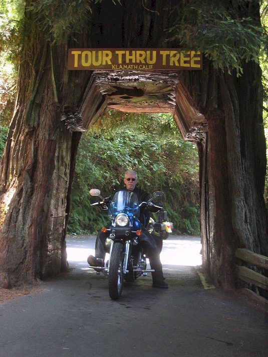 Tour Thru Tree in Klamath, CA
