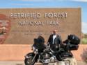 Petrified Forest
