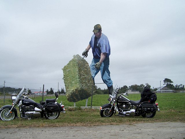 Ferndale, CA