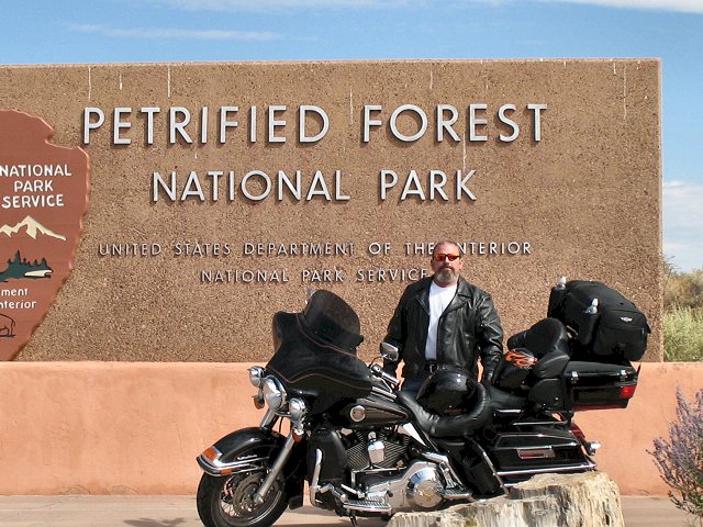 Petrified Forest