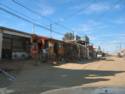 On Rodeo Drive in Rocky Point