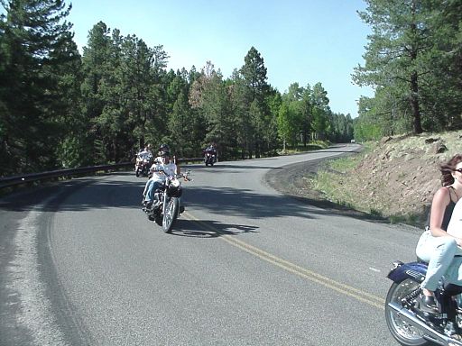 The road to Snow Bowl