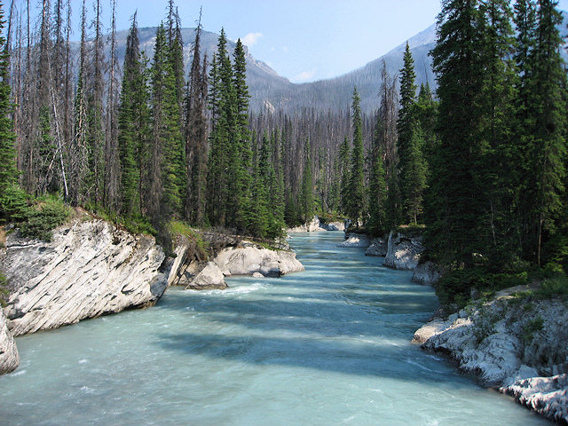 Hwy. 93 in Kootenay Nat. Park