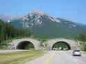 Hwy. 1, AB