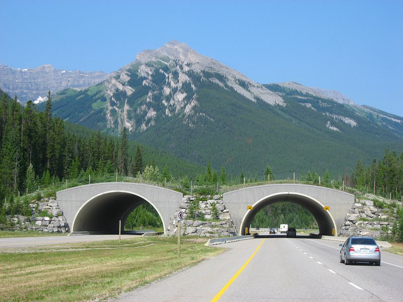 Hwy. 1, AB