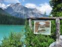 Emerald Lake - Yoho National Park, BC