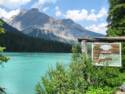 Emerald Lake - Yoho National Park, BC