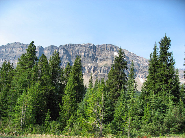Scenes From the Icefields Parkway, AB