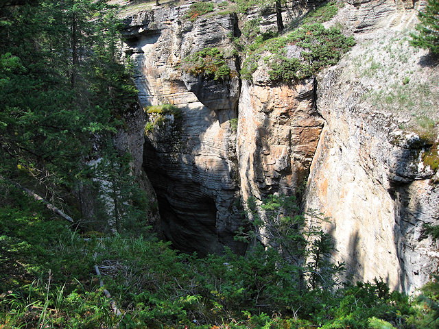 Maligne Canyon
