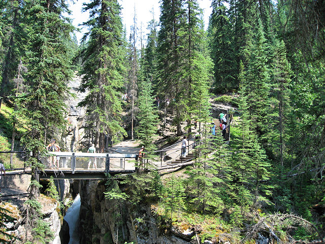 Maligne Canyon