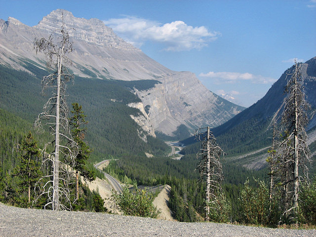 Scenes From the Icefields Parkway, AB