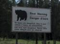 Scenes From the Icefields Parkway, AB