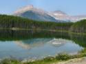 Scenes From the Icefields Parkway, AB