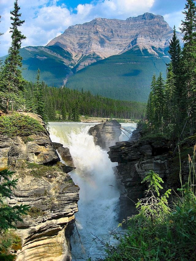 Athabasca Falls - Jasper National Park