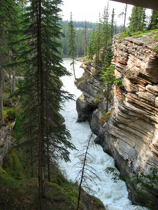 Athabasca Falls - Jasper National Park