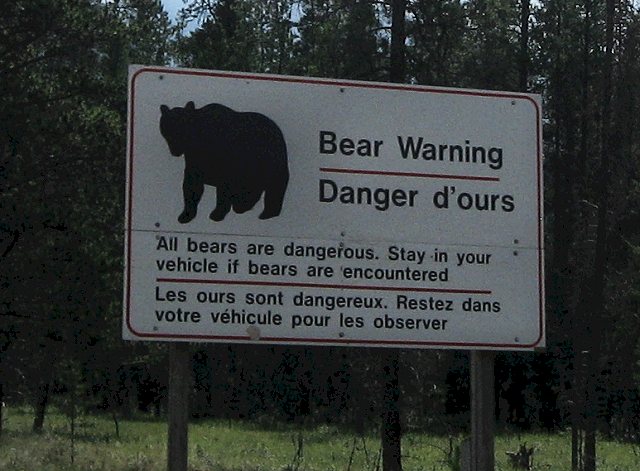 Scenes From the Icefields Parkway, AB