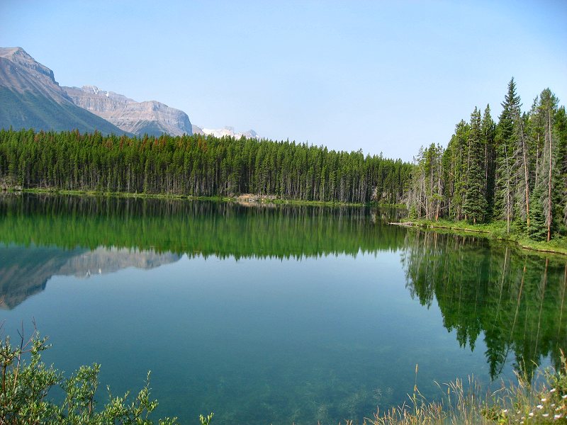 Scenes From the Icefields Parkway, AB