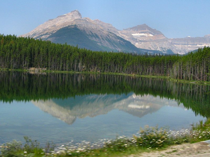 Scenes From the Icefields Parkway, AB
