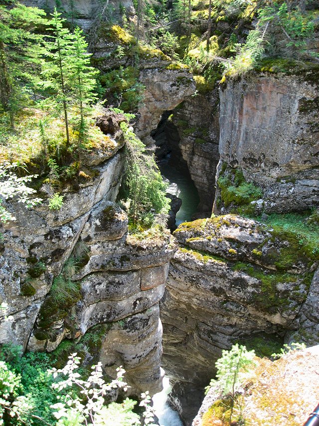 Maligne Canyon