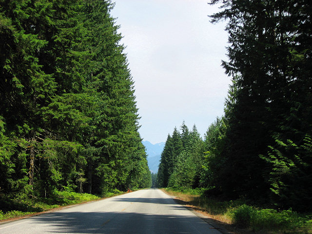 Scenic Hwy. 530 in Washington