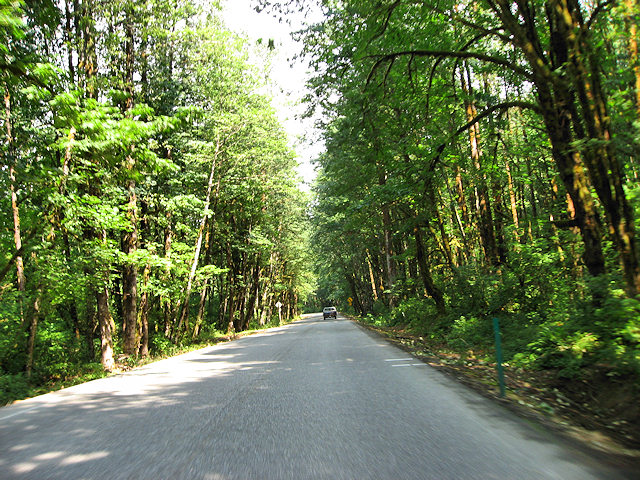 Scenic Hwy. 530 in Washington
