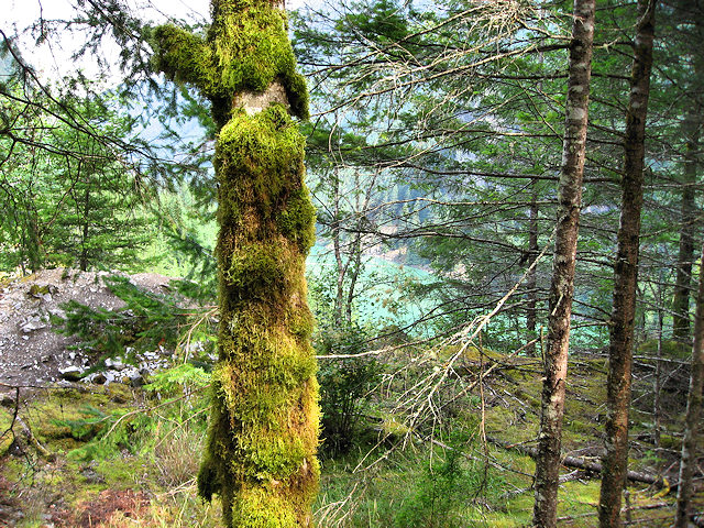 North Cascades National Park, Wahington. Hwy. 20