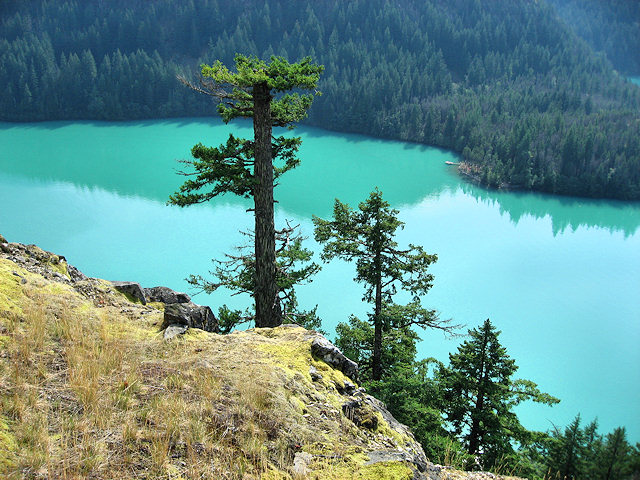 Diablo Lake, North Cascades National Park, Wahington.