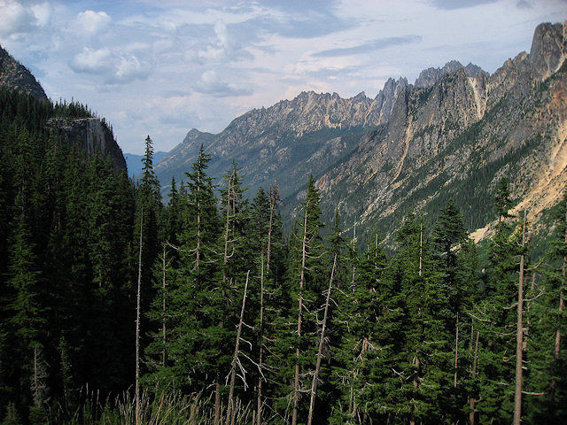 North Cascades National Park, Wahington. Hwy. 20.